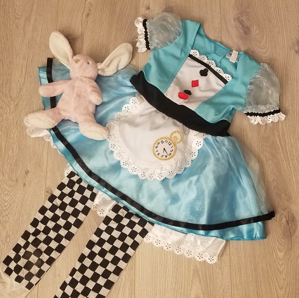 Alice in wonderland toddler girl costume 2t 3t